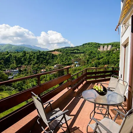 Paradise View *