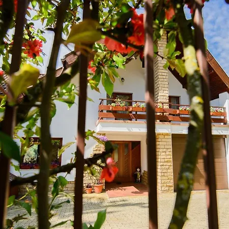Paradise View Villa Braşov