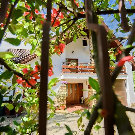 Paradise View *